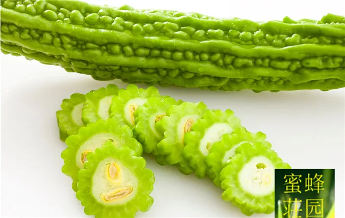 

bitter gourd bonsais brown melon Jin lychee bonsais high yield of vegetable 10pcs