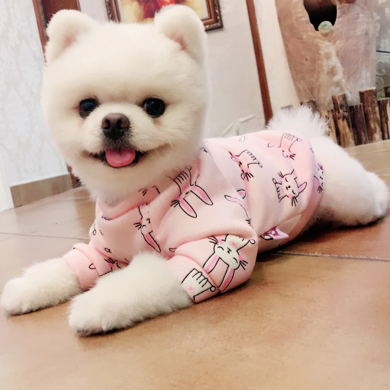 Pomeranian dog clothes xs Cartoon print pink blue clothes for dogs winter Pomeranian dog clothes coat abbigliamento per cani Pomeranian dog clothes xs Cartoon print pink blue clothes for dogs winter Pomeranian dog clothes coat abbigliamento per cani