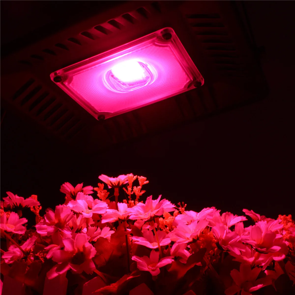 

LED grow light 50W Full Spectrum for Indoor Greenhouse grow tent plants grow led floodlight Outdoor Spotlight Square Wall Light