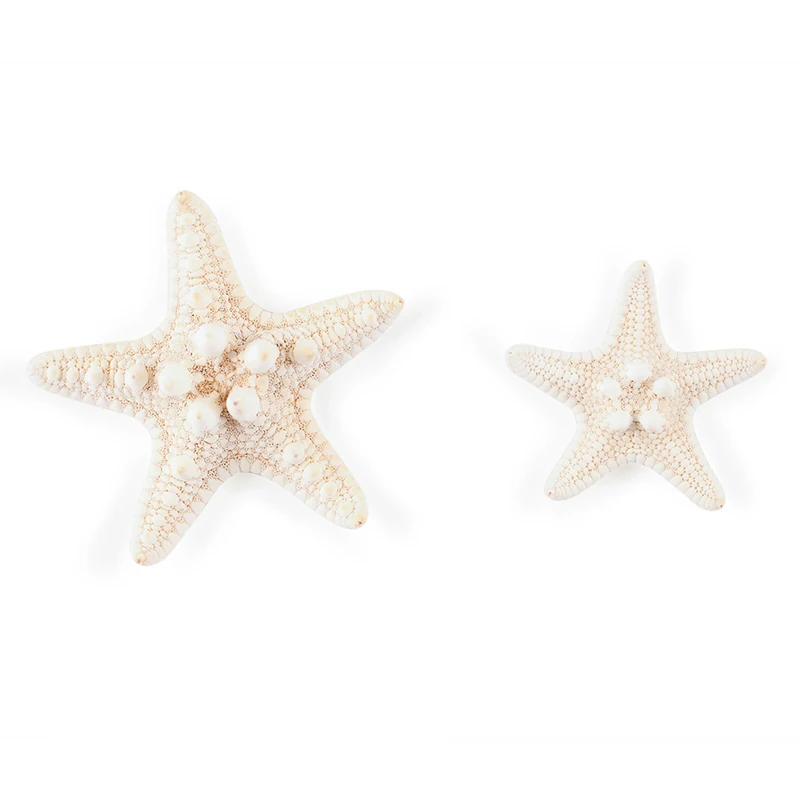 

10 PCs/lot natural accessories conch shell props 5-11cm starfish natural sea star Desktop Decorative Toys Wedding Party Supplies