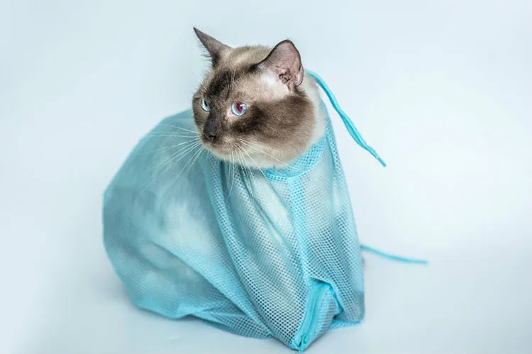 

Multi-functional Washing Bag of Cat Grooming Bag Nail Cutting Ear Cleaning Bathing Bags Pet Cat Supplier Pet products for cats