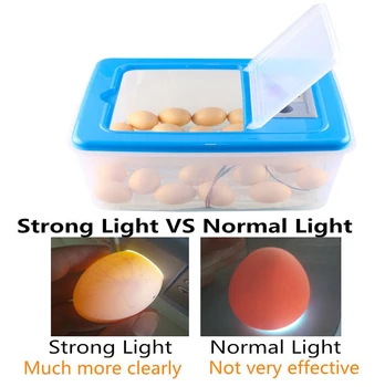 

Mini 32 Egg Incubator Poultry Incubator Brooder Digital Temperature Hatchery Egg Incubator Hatcher Chicken Duck Bird Pigeon