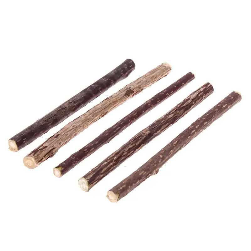 5pcs Pure Natural Catnip Pet Cat Molar Toothpaste Stick Cat Cleaning Teeth Silvervine Actinidia Fruit Matatabi Products for Cats