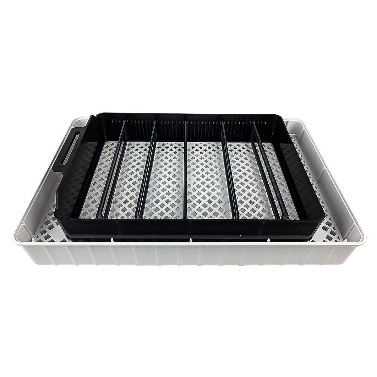 12 Eggs Small Mini Incubator Automatic Digital Egg Incubator Hatcher Large Capacity Practical Incubators Household 12 Eggs Small Mini Incubator Automatic Digital Egg Incubator Hatcher Large Capacity Practical Incubators Household