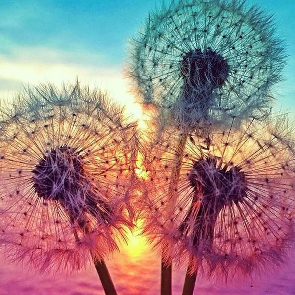 

AsyPets DIY Dandelion Pattern Diamond Embroidery with Tools Set