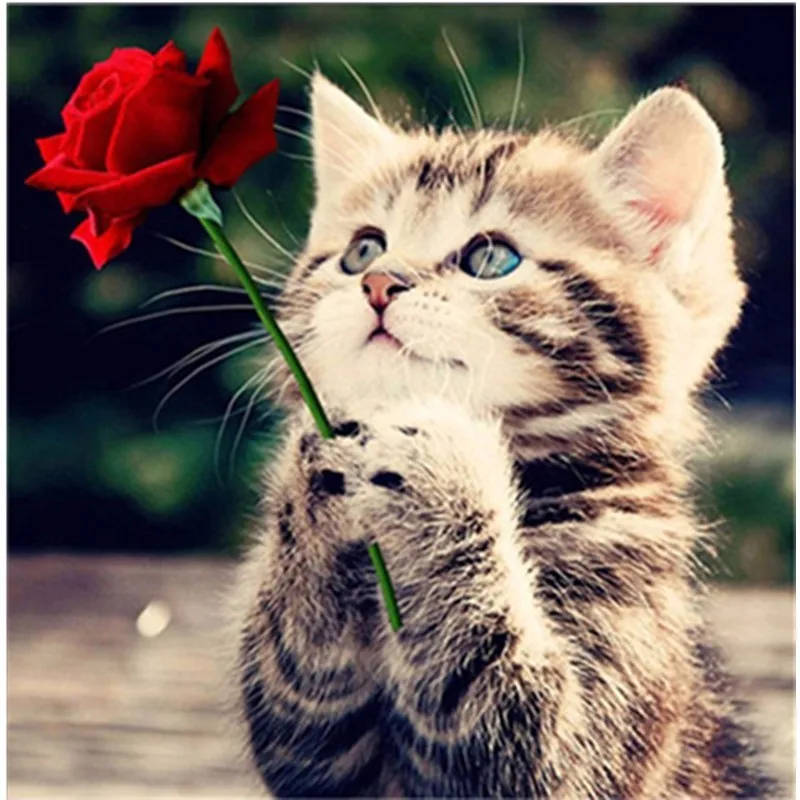 

5D DIY Diamond Painting Painted Cartoon Animals Cats Mosaic Embroidery Cat Reflection Tiger Cross Stitch Embroidery Crafts