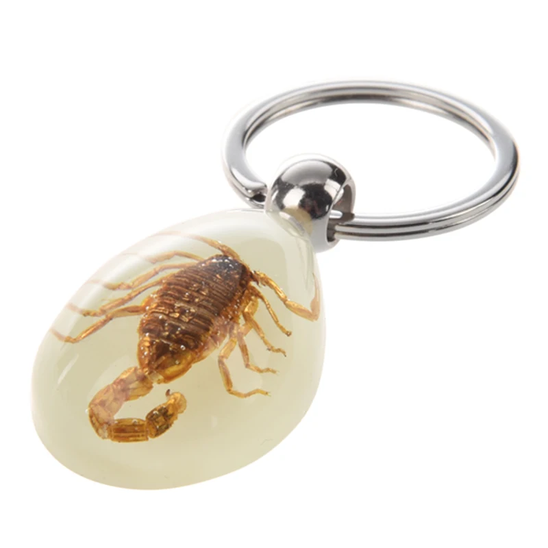 

Novelty Raindrop Shape Amber Key Holder Ring Chain Scorpion Chrysophoron Pendant Split Keychain Keyring Gift
