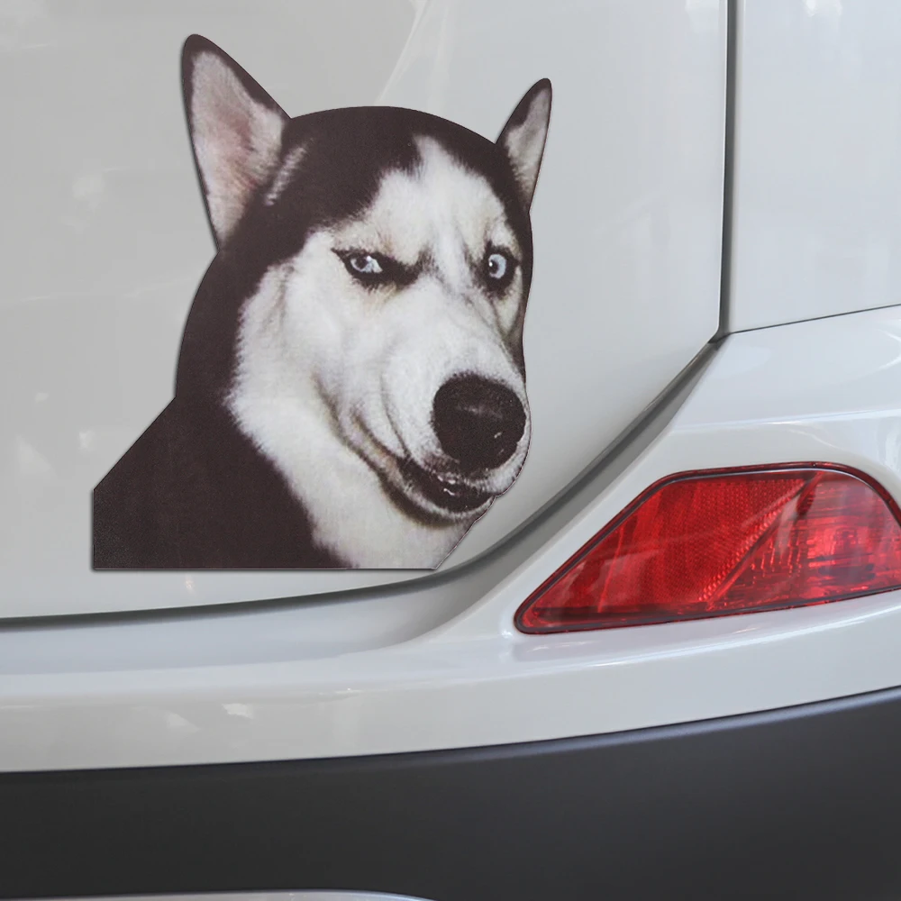 Funny Animal Husky Car Sticker Car Decoration Vinyl Decal Auto