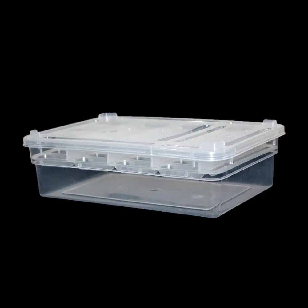 

Adeeing 24Holes Reptile Egg Incubation Tray for Tortoise Lizard Chameleon Eggs