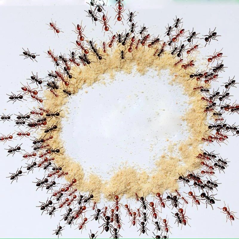 10 шт./лот Ant Bait семья школы медицины мощный убить муравьи удалить ясно устранить Fourmi Mier Hormiga ловушка анти