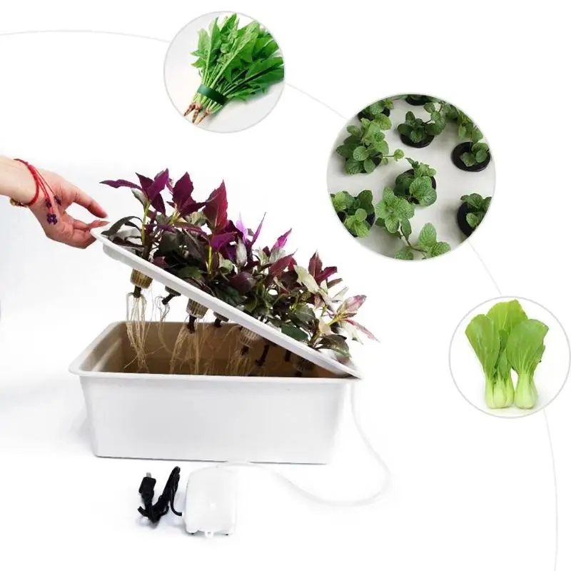 6 Holes Plant Site Hydroponic System Nursery Pots Soilless Cultivation Planting Box Plant Seedling Grow Kit UK/US Plug 6 Holes Plant Site Hydroponic System Nursery Pots Soilless Cultivation Planting Box Plant Seedling Grow Kit UK/US Plug