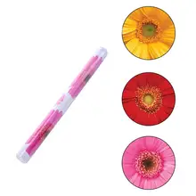 Unduh 900 Background Kuning Daisy Paling Keren