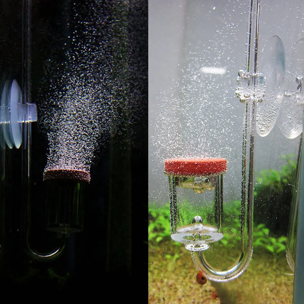 4In1 акриловый прозрачный Аквариум CO2 диффузор 5 мм толщина CO2 Атомайзеры для диоксида проверьте клапан Замена Exchange емкость для аквариумных