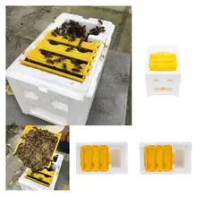 Урожая леток для улья Пчеловодство королевская коробка опыления для пчел опыления инструмент пчеловода дома улейная коробка инструмент пчеловода