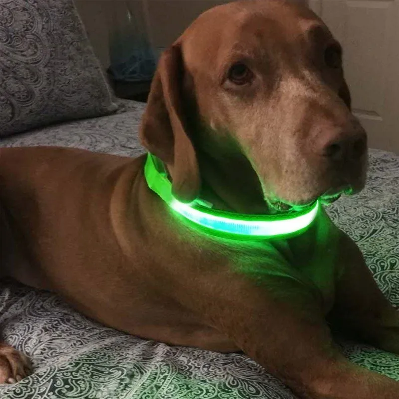 Светодиодный ошейник для собак с зарядкой от USB, светящийся ошейник для собак и кошек с usb-кабелем, светодиодный ошейник для собак