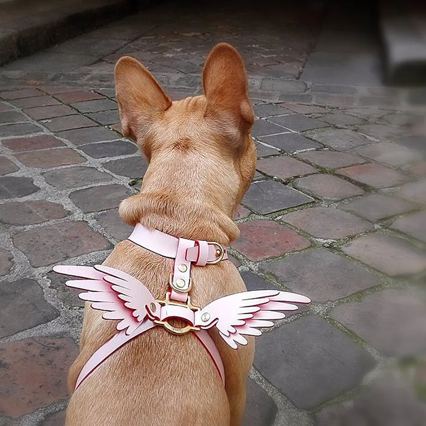 

Luxury Designer Leather Dog Harness And Leash Set With Angel Wings For Small And Medium Large Animals Chihuahua Puppy Cat