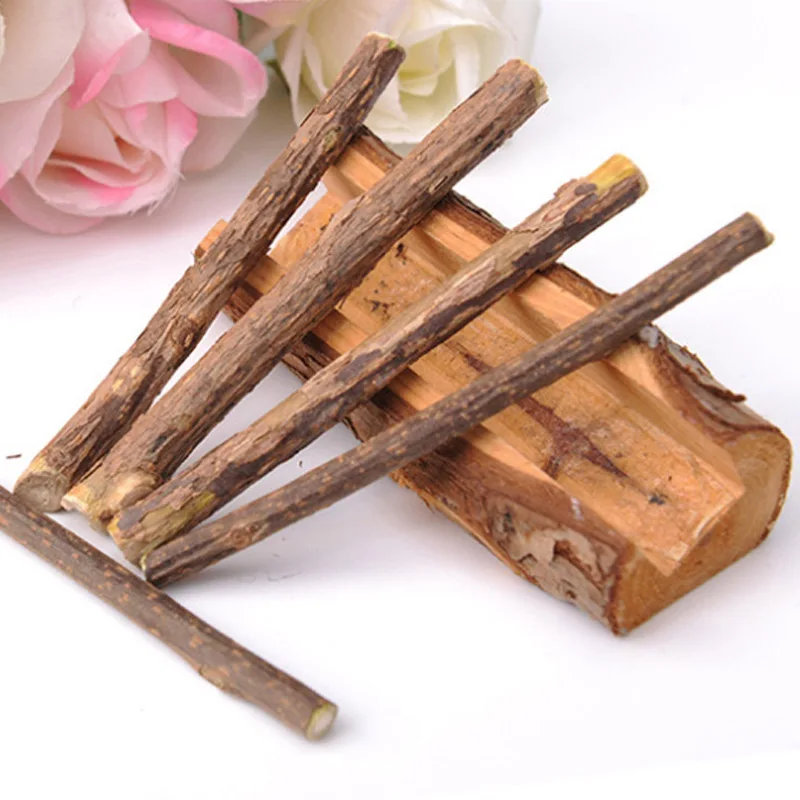 

5Pcs Pet Molars Dragon Cat Squirrel Cat Hamster Pet Supplies Non-toxic Pet Training Toys Natural Wood Cat Mint Pet Supplies