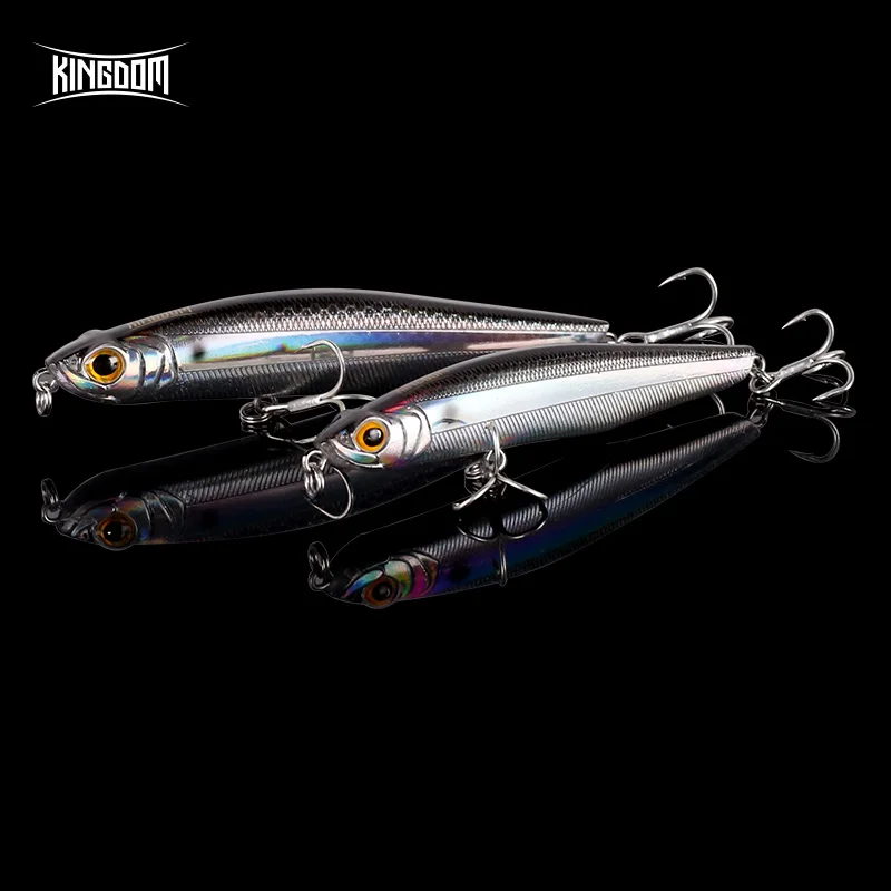 

Kingdom New Slow Sinking Pencil Sea Fishing Lures 85mm 100mm Hard Baits Good Action Swimbaits Wobblers High Quality Fishing Lure