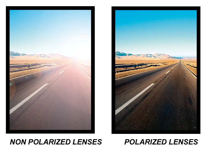 Trade_BrochurePolarization[1]-2