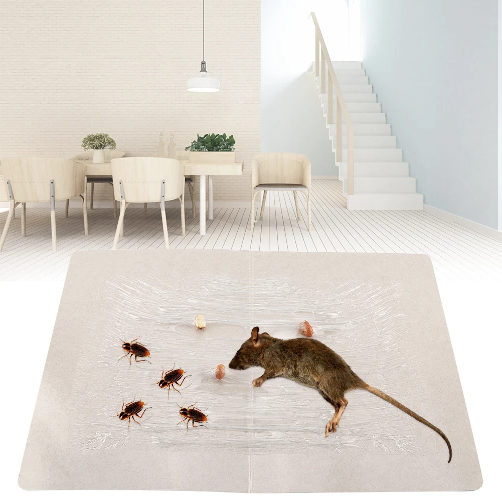 Non-toxic Tasty Meat Scent Strong Sticky Adhesive Mouse Glue Trap Inset Pests Control Reject Catcher Household Tool Non-toxic Tasty Meat Scent Strong Sticky Adhesive Mouse Glue Trap Inset Pests Control Reject Catcher Household Tool