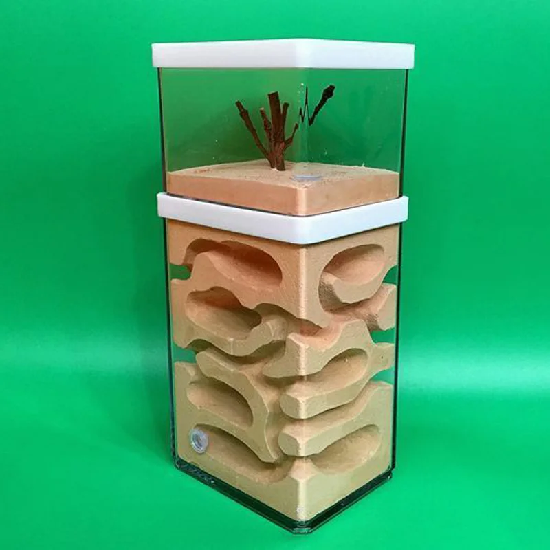 

Ant Earth Nest Formicarium Housing Ant Farm House For Ant Colony Workshop