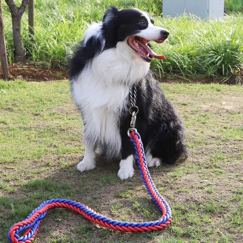 

New Pet Dog Collar Leather Dog Leash Collar and Leash Set for Large Dogs Chain Durable and sturdy Nylon harness Husky guide dog
