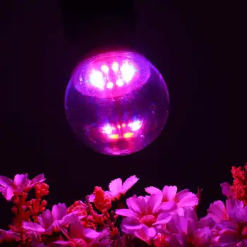 

5W grow light E27 5730 Full Spectrum 10 LED Grow Light Bulb Reb:Blue 4:1 for Tent Indoor Greenhouse AC100-265V