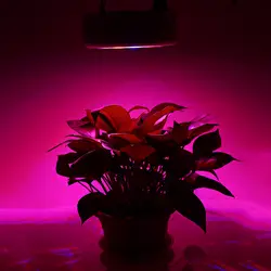 Распродажа 96 Вт НЛО 32 светодиода светать полный спектр Крытый гидропонное освещение для растений Professional растет лампа