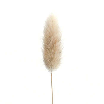 

New-20 Stems Dried Flower Bunny Tail Natural Plants Floral Rabbit Grass Bouquet Home Decoration Accessories Photo