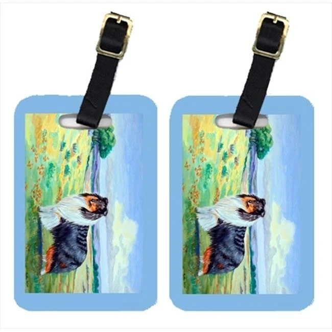 Багажные бирки Carolines Treasures 7140BT Collie Pack-2 | Багаж и сумки