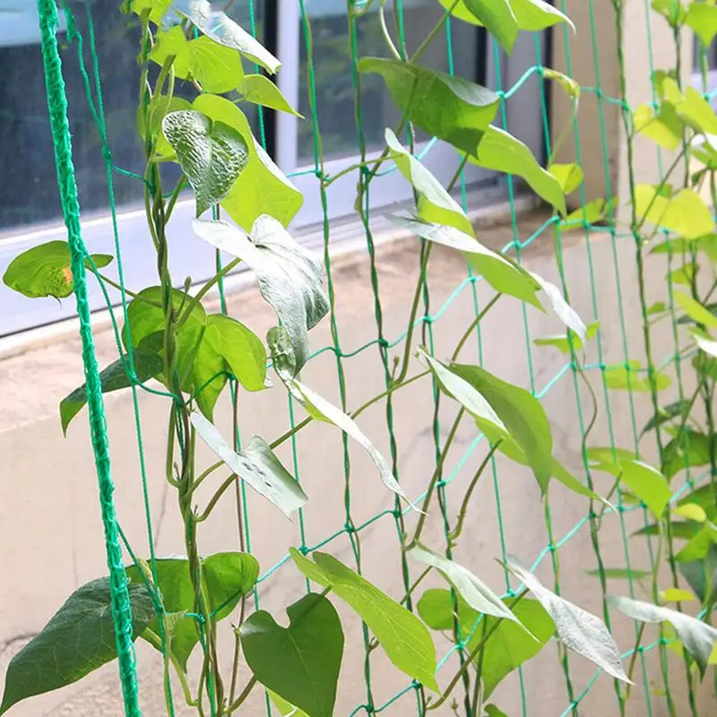

Plant Trellis Netting Vine Plant Climbing Netting Plant Support Netting Nylon Material Strong And Durable Garden Supply