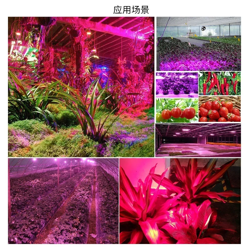 50 Вт DIY Led Cob растительный светильник полный спектр Cultivo комнатный тент s для теплиц