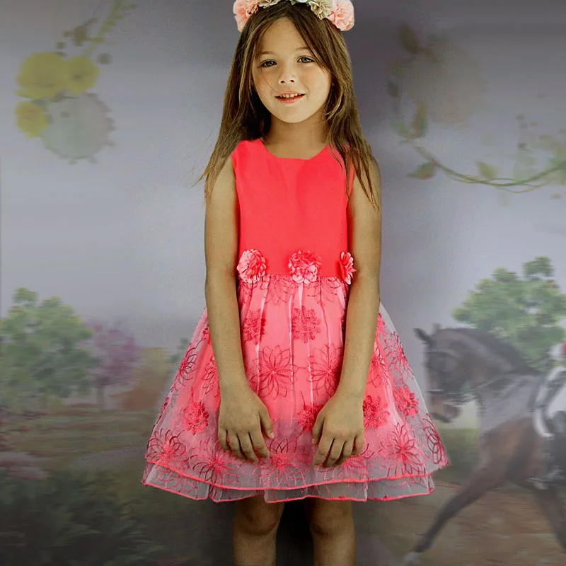

Girls Embroidered lace Kids dress baby girls Evening Embroidered Gauze Princess Dress children's Formal Princess Party Gown
