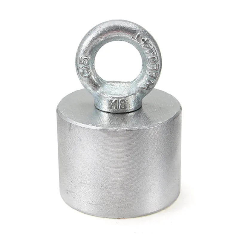 

1Pcs Sliver 55x40mm 30Kg Neodymium Recovery Magnet Metal Detector with Handle Ringscrew for Treasure Hunting In The Sea/River