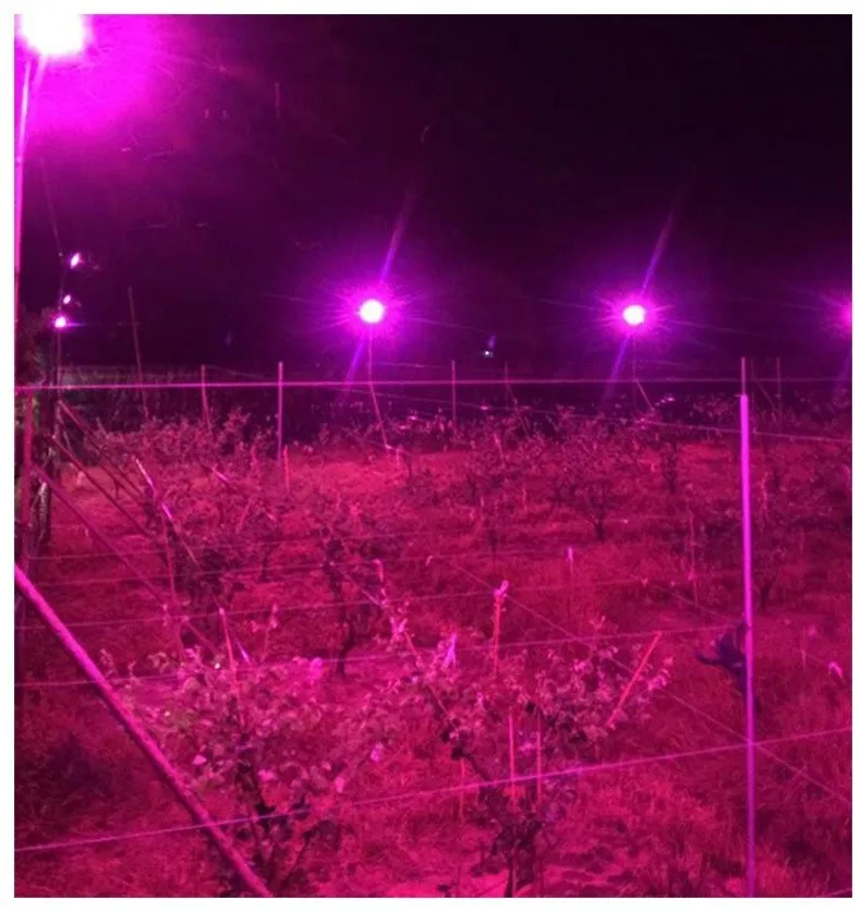 100 Вт LED Cob лампа для выращивания растений Водонепроницаемая полный спектр роста
