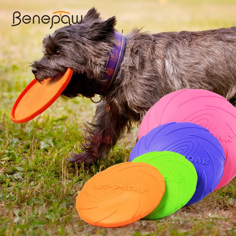 Benepaw دغة مقاومة لعبة الكلب الفريسبي 4 ألوان التدريب مرنة الحيوانات الأليفة اللعب عبق جرو تحلق أقراص الأخضر/الأرجواني /الوردي/البرتقال