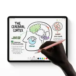 Для Apple Pencil 2 Чехол iPad Pro 2018 пенал планшет сенсорный Стилус Защитная крышка чехол Портативный мягкий силиконовый чехол