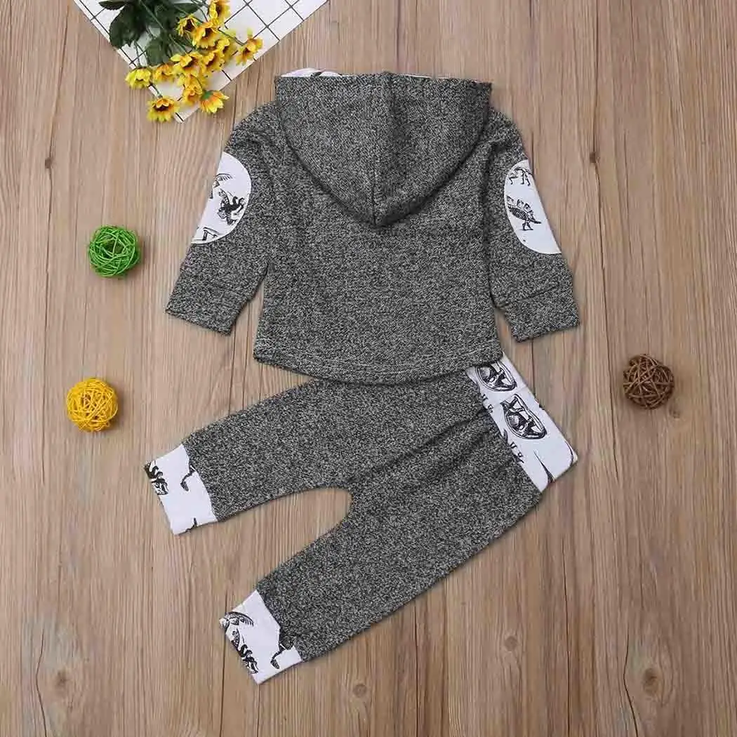 Baby Girls Boys Cute Cartoon Hooded Tops and Long Pants Patchwork All Seasons Outfits Everyday, Holiday Set