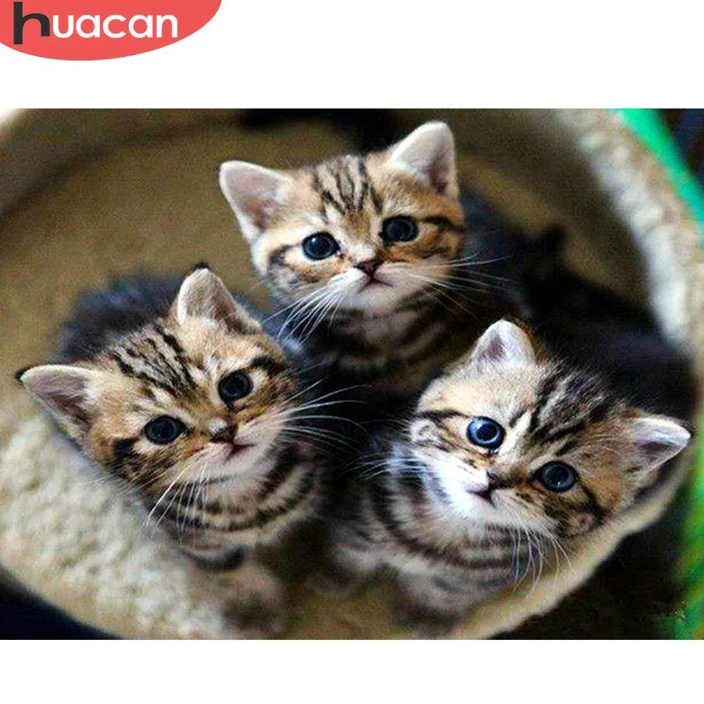 

HUACAN Full Square Diamond Mosaic Animal 5D DIY Diamond Painting Embroidery Cat Rhinestones Decor Home Art Crafts Gift Handmade