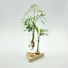 3 шт скандинавские стеклянные вазы для гостиной украшение стола прозрачная водная гидропоника цветок сухая Цветочная Ваза бутылка из серии «сделай сам» деревянная основа