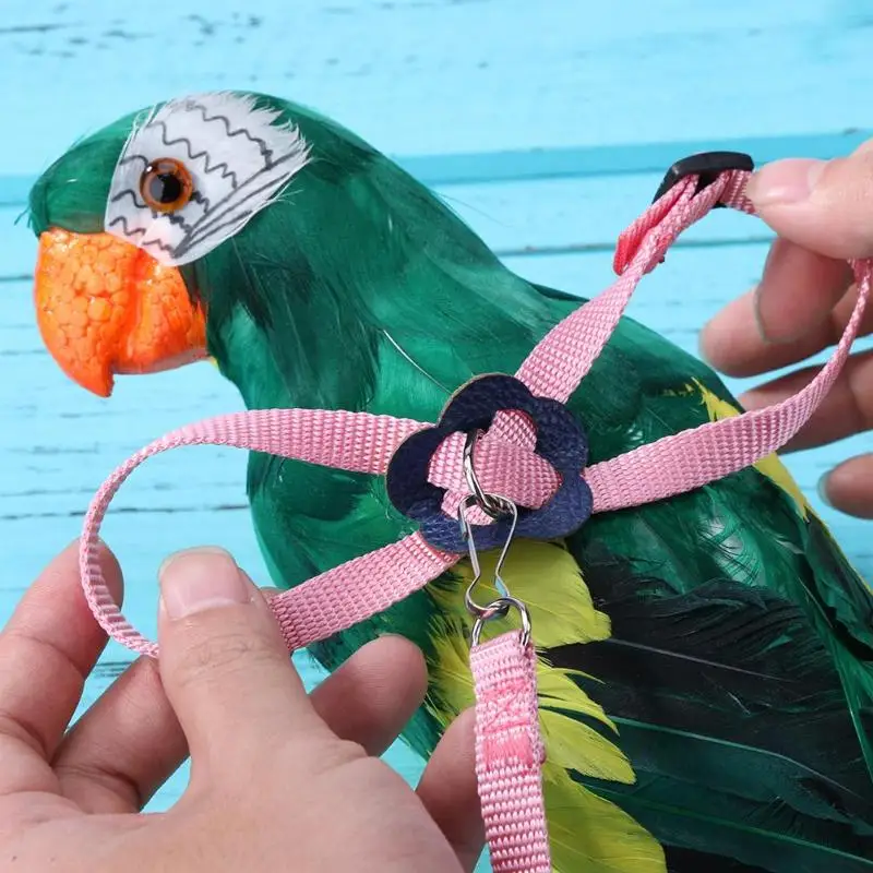 ParrotBirdLeashAntibiteFlyingTrainingRopeParrotBirdPetLeash