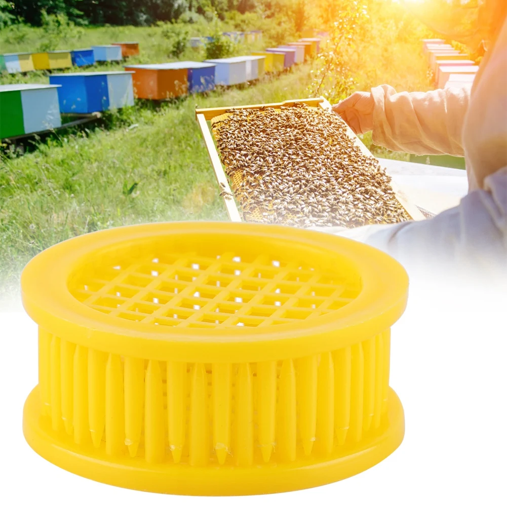 

6 Pcs New Queen Bee Rearing Box Cell Beekeeping Equipment High Quality Reusable Beekeeping Tool