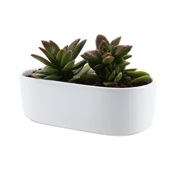 

Ceramic White Modern Oval Design Succulent Cactus Plant Pot Flower Pot/container/planter