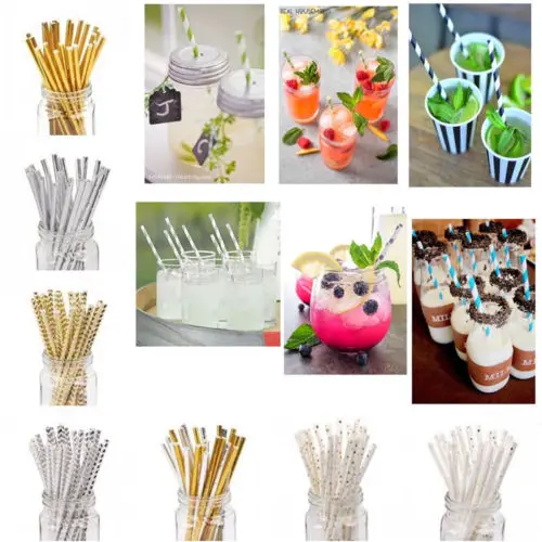 

25PCS COCKTAIL FRUIT DRINKING STRAW HAWAIIAN CHRISTMAS PARTY HEN STAG BAR PUB