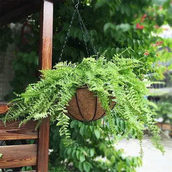 

8/10/12 Inch Wire Coconut Palm Basket Iron Wall Hanging Flower Basket Balcony Fleshy Plants Flowerpots Home Gardening Decoration