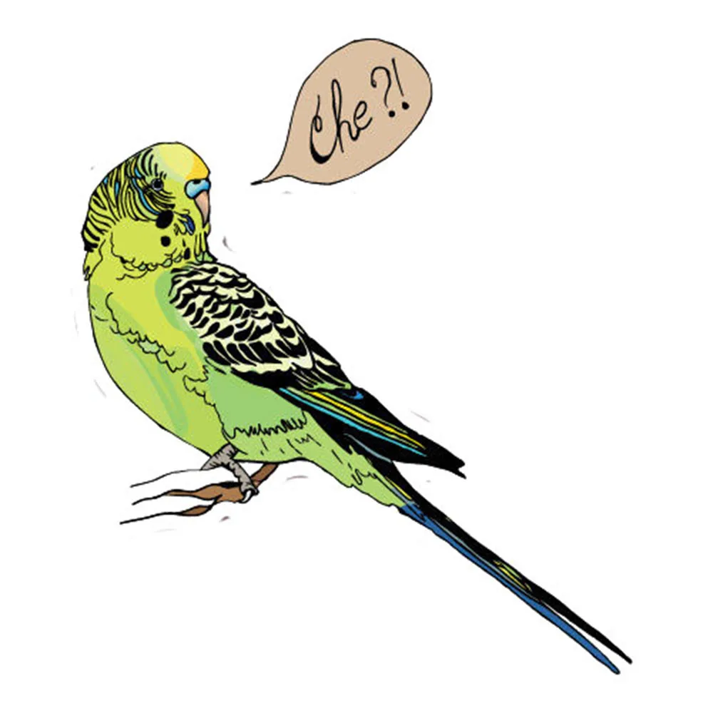 

Budgie Car Laptop Sticker Pet Art Laptop Decorative Personality Accessories For