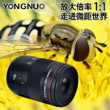 YONGNUO YN60mm F2/MF Стандартный Средний объектив для Canon, YN60mm основной объектив с фиксированным фокусом для камеры Canon EOS 80D 70D