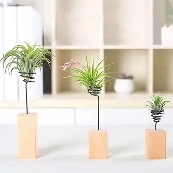 

1 PC Metal Stretchable Air Plant Container Stand Tillandsia Plant Display Modern Tabletop Wooden Base Vase Holder Pot