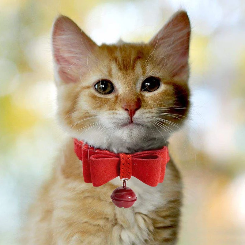 Bowknot Cat Collar PU Leather Adjustable Bells Necklace For Small Dog Puppy Kitten Pet Accessories Pets Collars XXS/XS/S/M