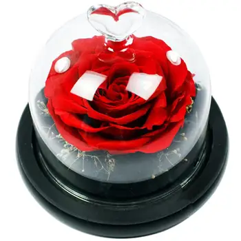 

Valentine's Day Gift Romantic Everlasting Flower Mini Preserved Flowers Handmade Unwithered Eternal Rose With Glass Cover